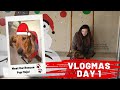 Vlogmas day 1 meet our rescue dog mojo  diana kitsune