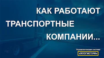 Чем занимаются в транспортной компании