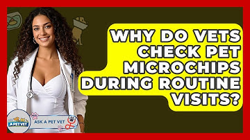 Why Do Vets Check Pet Microchips During Routine Visits? - Ask A Pet Vet