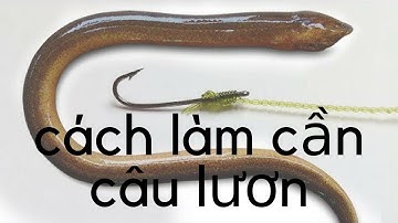 cách làm cần câu lươn-Không được xem thì phí cuộc đời