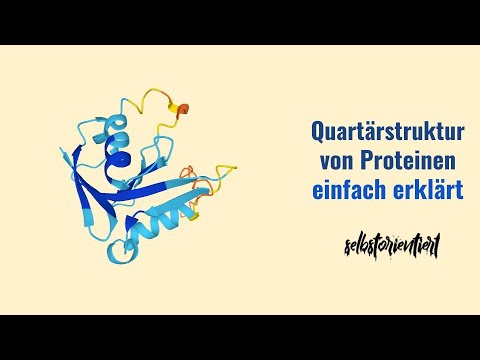 Video: Wie ist die Quartärstruktur von Hämoglobin?