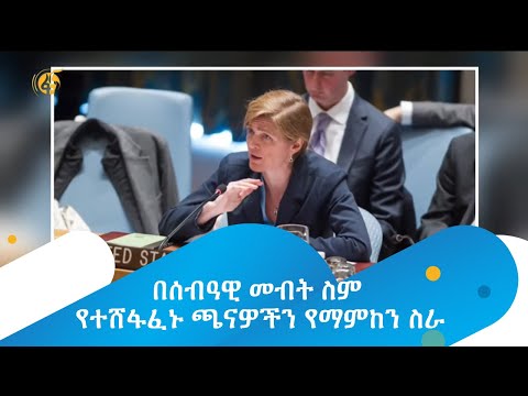 በሰብዓዊ መብት ስም የተሸፋፈኑ ጫናዎችን የማምከን ስራ