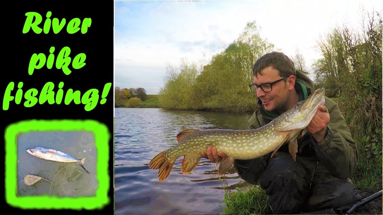 PIKE FISHINGbig river PIKING! part 2 of 2 YouTube
