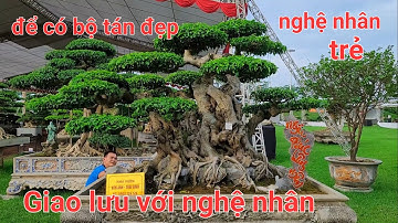 Bạn cần biết !... Cách sắp xếp bông tán đẹp cho cây