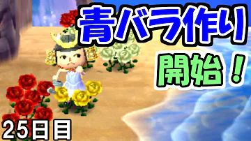 تحميل とびもりやすひろ
