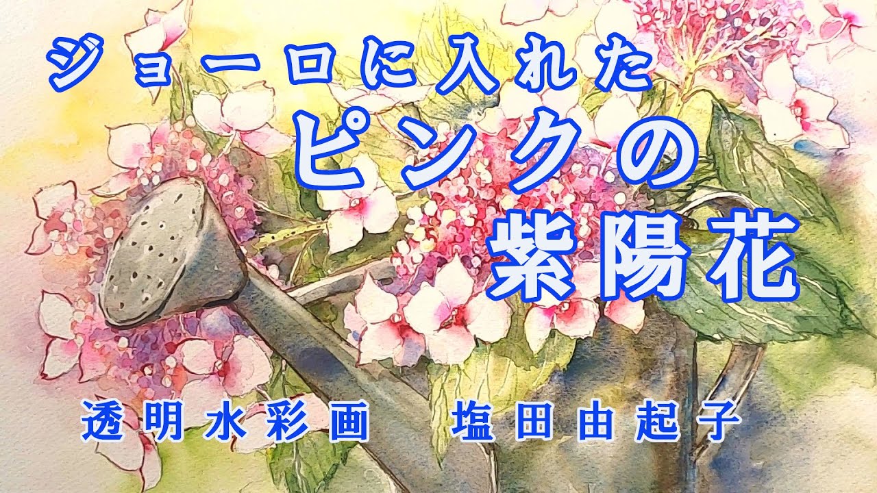 Transparent watercolor painting] Pink hydrangea in a watering can