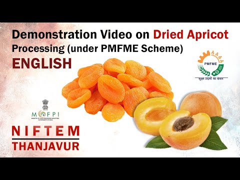 Video: Full Chemical Composition Of Dried Apricots