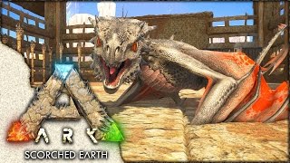 ARK: Scorched Earth ~ Ep 18 ~ FIRE WYVERN HATCHING!