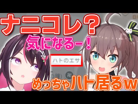 【GeoGuessr】超ローカルスポットが気になるあずきち【ホロライブ/AZKi/あずきち/夏色まつり】