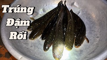 Chuyến thâm câu BÃO TÁP của MA TRÂu # khoaioque