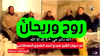 روح و ريحان ما بين الخلان جنة رضوان في حضرتنا من ديوان الشيخ سيدي أحمد العلاوي المستغانمي