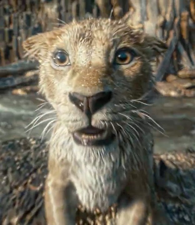' MUFASA ' Mufasa - The Lion King - Kamin - Emin & Jony