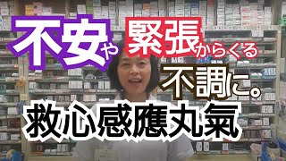 不安や緊張からくる不調に【救心感應丸氣】