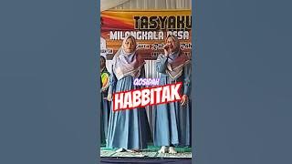 Habbitak #qosidah #viralshorts
