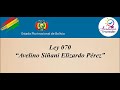 Ley 070  avelino siani  elizardo prez