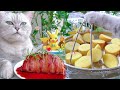 Cat Cooking Food ASMR ||  Mashed Potato Bacon Big Bombs || Three Homemade Grilled Food Recipes