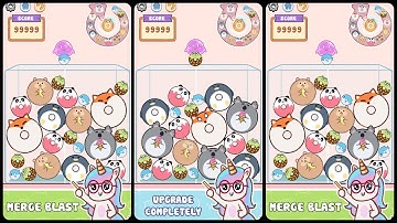 Unicorn Donut: Drop & Merge Game Gameplay Android Mobile