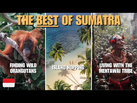 The BEST of Sumatra | Indonesia Travel vlog