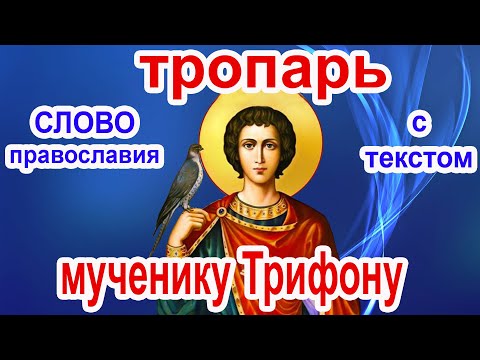 Тропарь святому мученику Трифону аудио молитва с текстом и иконами