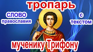 Тропарь святому мученику Трифону аудио молитва с текстом и иконами