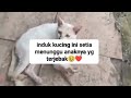 KASIH SAYANG SEORANG IBU ITU NYATA🥹❤️