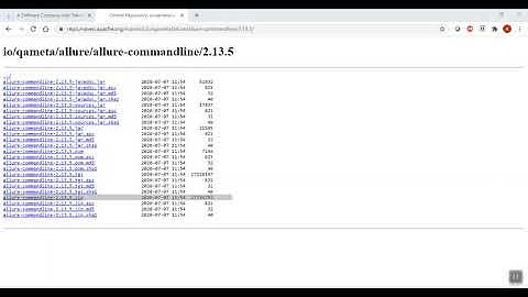 Selenium with Python Allure Reports Part 17