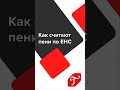 Как считают пени по TYC  #бухгалтерскиеновости #главбух #shorts