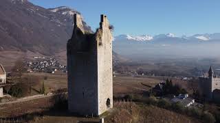 Pasari Cu Ochi De Foc