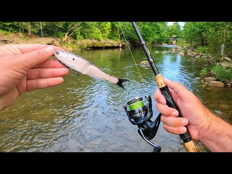 Fishing for Creek