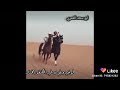لو خيروك غير الكفو مختار لو خيروك غير الكفو مختار