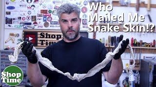 Who Mailed Me Snake Skin?! | Dipit #37
