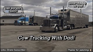 Cow Trucking with Dad! Tight Alabama Farms. LET'S RIDE!
