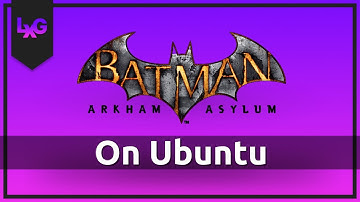 Batman - Arkham Asylum on Linux