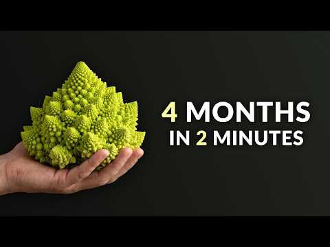 I Filmed Romanesco Broccoli For 4 Months