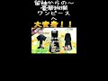 【着物リメイク切り抜き】留袖から代々引き継げる豪華ワンピースに大変身!! #Shorts