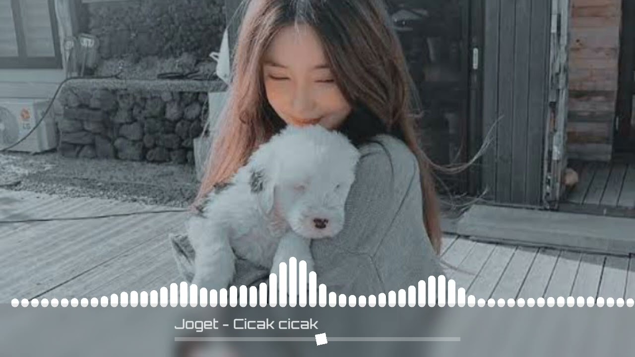 Joget - Cicak Di Dinding - VNRMXER