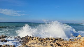 Крым,черное море весной,цветение глицинии,сирени🌊🌈🪻