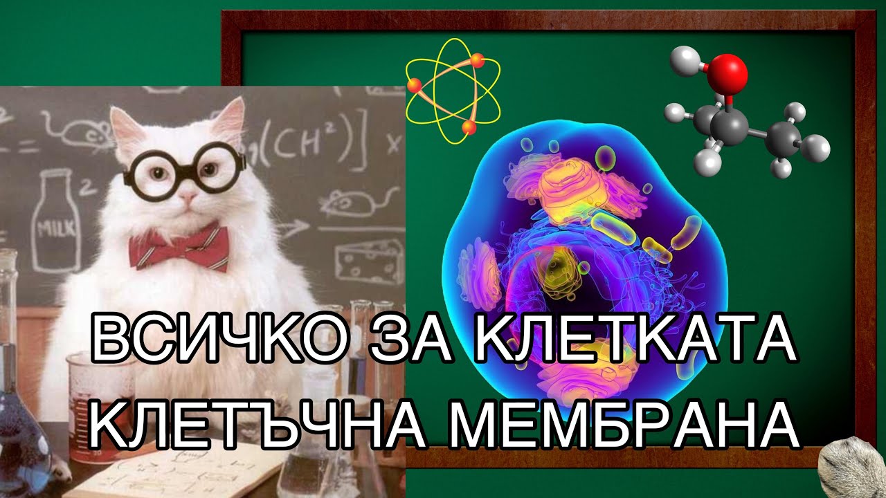 ВСИЧКО ЗА КЛЕТКАТА част 1 - Клетъчна мембрана