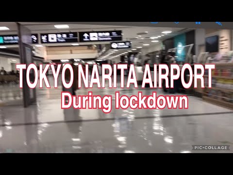 Video: På Tokyo Airport Kommer Passagerare Att Betjänas Av Robotar - Alternativ Vy