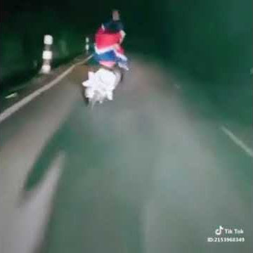 Gatak gitik moonraker