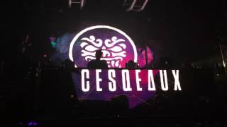 Cesqeaux in Macau(Club Cubic)