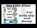 CBSE Class 1 unit 3 poem One Little kitten explain in bengali with Question answer| NCERT english