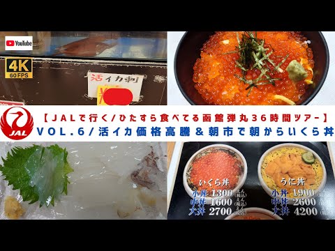 VOL.6/最早函館ではイカが取れない！活イカの価格が高騰していて●●●●円！＆函館朝市でいくら丼を早朝から食らうの巻！【ひたすら食べる函館 ３６時間弾丸ツアー】