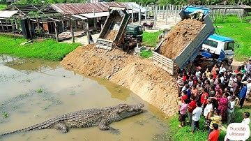 Excellent Perfect Project! By 5 Ton Dump Truck Unloading Soil And Skill Bulldozer Pushing Soil After