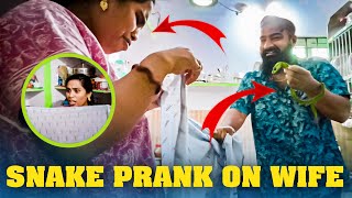 Snake Prank On Wife | Telugu Pranks | Pareshan family
