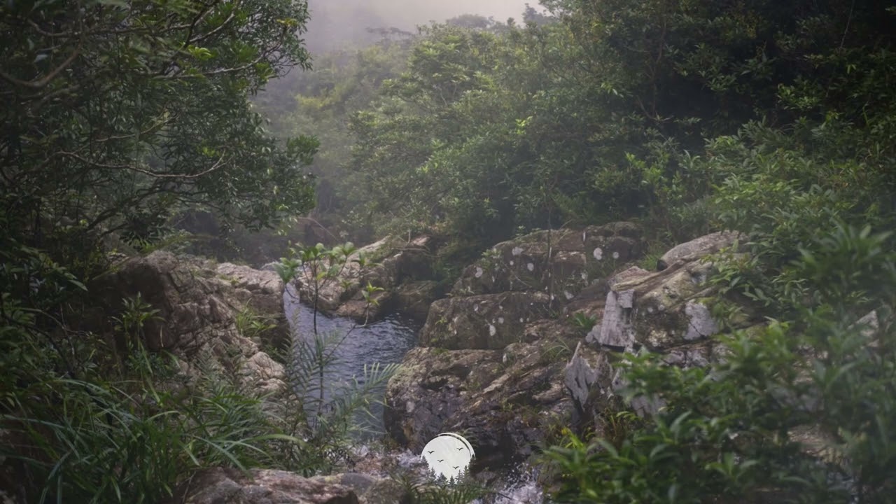 Watch Memories of the Forgotten - Mountain Streams on YouTube Watch Memories of the Forgotten - Mountain Streams on YouTube