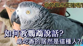 【屈原之天下鳥事】如何教鸚鵡講話最吃香的居然是“這種人”你用對方法了嗎