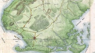 Celebrity Battle of Long Island Brooklyn Map (1867) Wealth