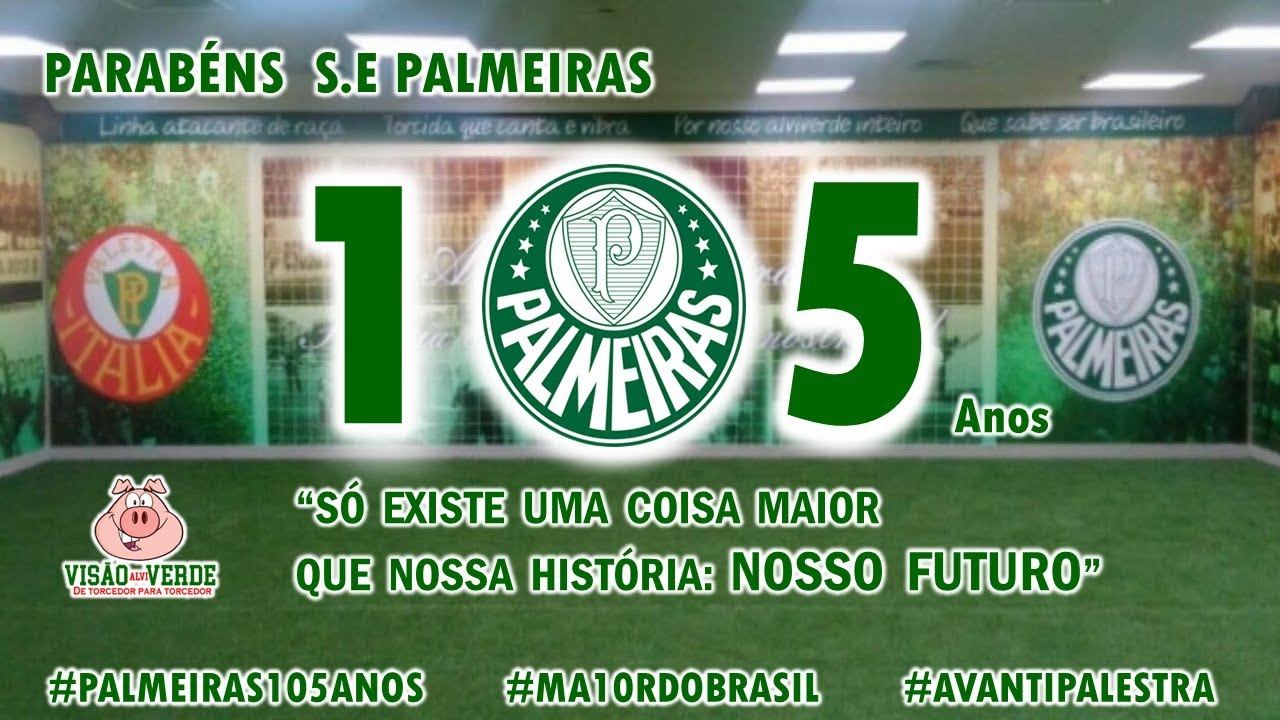 camisa palmeiras 105 anos