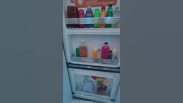 Meow Wolf The Real Unreal  Immersive Art Experience #shorts